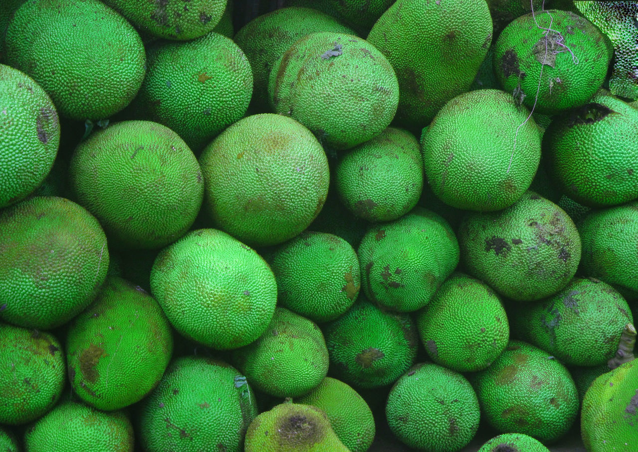 FULL FRAME SHOT OF GREEN FRUITS