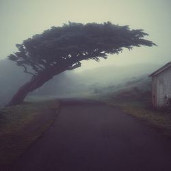 Road in foggy weather