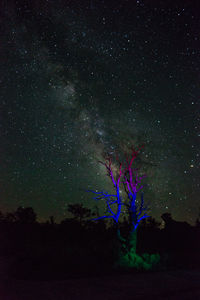 Low angle view of stars in sky at night
