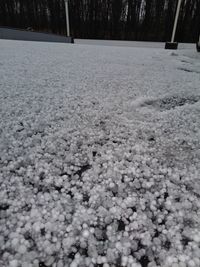 Surface level of snow covered land