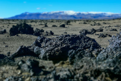 Close-up of landscape against sky