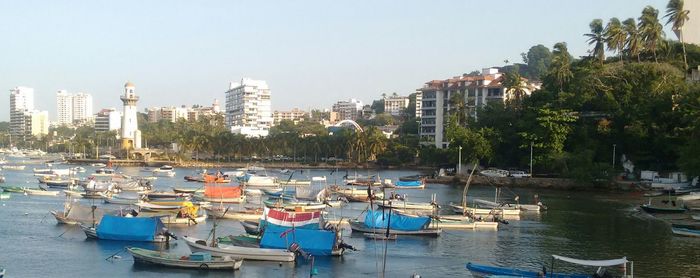 Boats moored in harbor against buildings in city