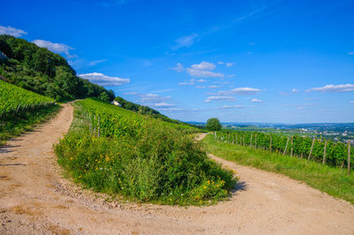 Scenic view of road amidst field against blue sky