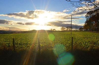 Scenic view of field against sky during sunset