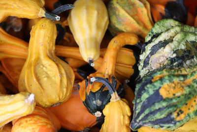 Close-up of person for sale at market