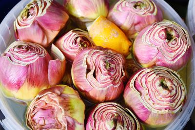 High angle view of pink artichokes in container