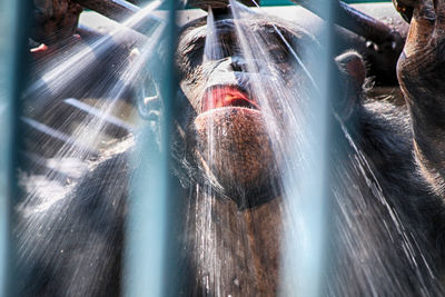 Blurred motion of close-up of water