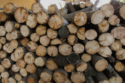 Full frame shot of logs