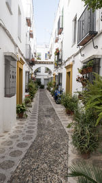 Alley amidst buildings against clear sky