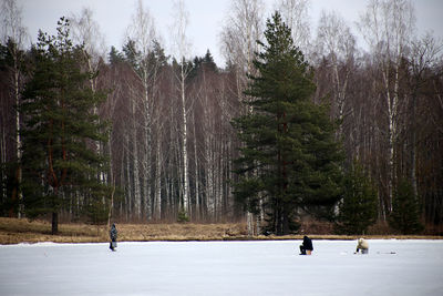People ice fishing on lake in forest during winter
