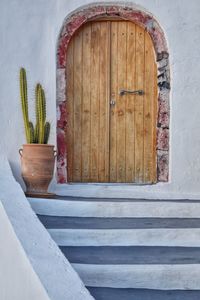 Potted plant on wooden door of building