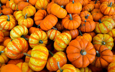 Full frame shot of pumpkins at market stall