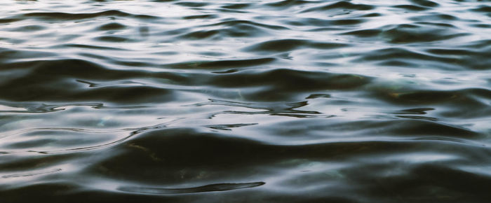 Full frame shot of rippled water