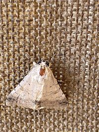 Text on wall in building