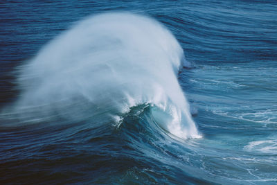 View of turtle swimming in sea