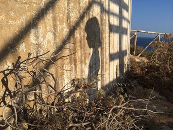 Close-up of shadow on wall