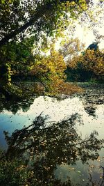 Reflection of trees in lake against sky