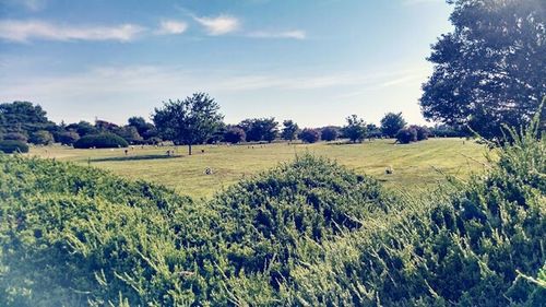 Scenic view of grassy field against cloudy sky