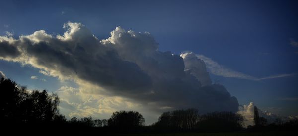 Low angle view of silhouette trees against blue sky