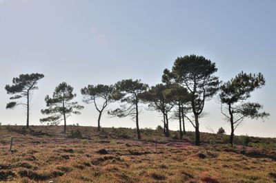 The cap d'erquy on the brittany coast