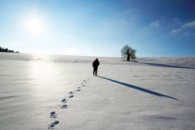 Rear view of man walking on sand