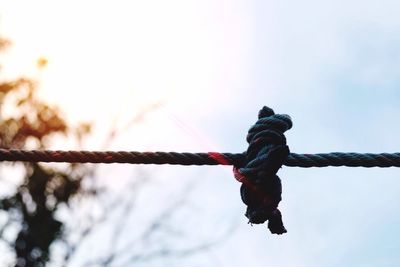 Low angle view of rope against sky