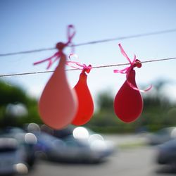 Close-up of red balloons hanging on the line