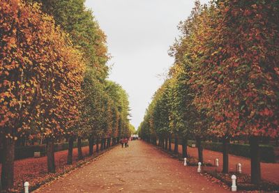 Footpath amidst trees in park during autumn