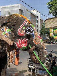 Close-up of elephant sculpture on street in city