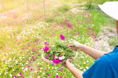 Hand holding fresh pink flowers in field