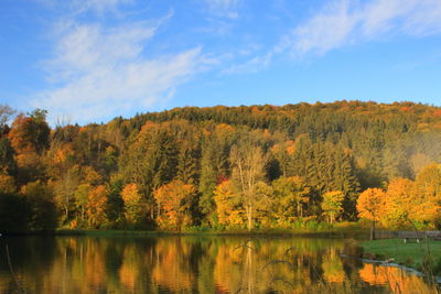 Scenic view of lake by trees against sky