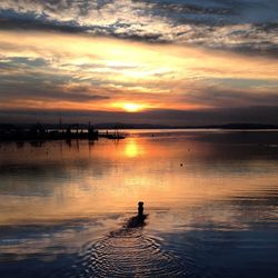 Scenic view of sunset over sea