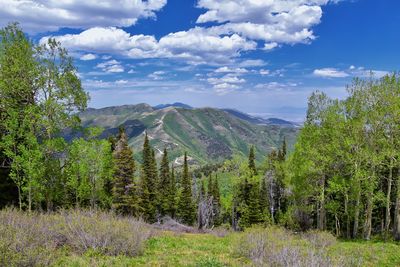 Rocky mountain wasatch front butterfield canyon oquirrh mountains utah, united states.