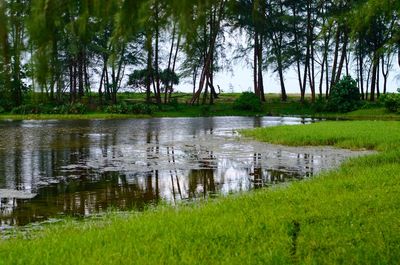 Scenic view of lake