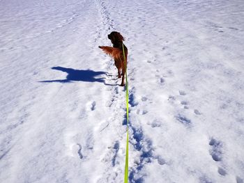 High angle view of person on snow covered field