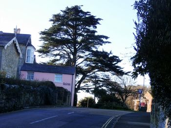 Road with trees in background