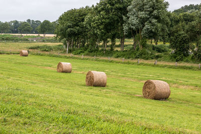 Hay bales on field against sky