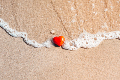 High angle view of red leaf on sand