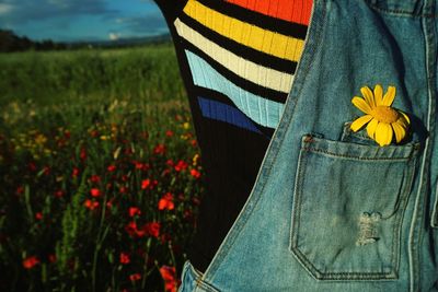 Close-up of yellow flowers on field