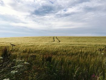 Scenic view of grassy landscape against cloudy sky on sunny day