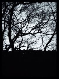 Silhouette of bare tree against sky