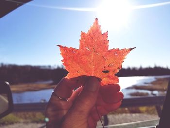 Close-up of hand holding maple leaf during autumn