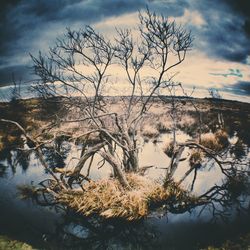 Bare trees by lake against cloudy sky