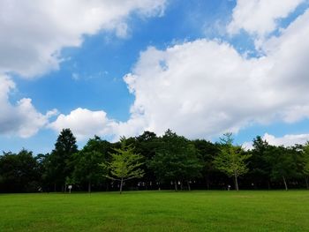 Scenic view of grassy field against sky