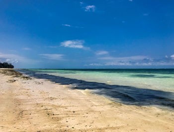 Beach life in zanzibar