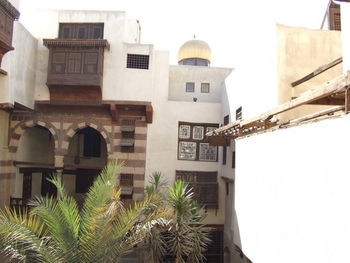 Low angle view of palm trees and buildings against sky