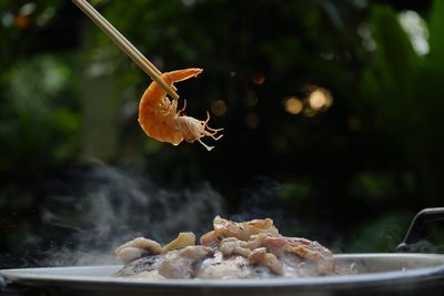 Close-up of dead fish