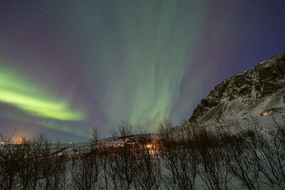 aurora