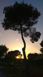 Silhouette tree on field against sky during sunset