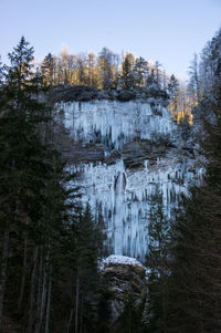 Scenic view of waterfall in forest during winter